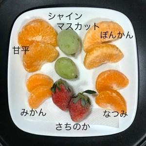 ふるさと納税 アイスフルーツボックス(柑橘×いちご×ブドウ) 愛媛県西予市|furunavi|04