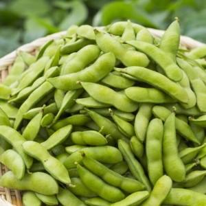 ふるさと納税 枝豆 2kg 新潟県産 朝どり 枝豆 新潟県三条市
