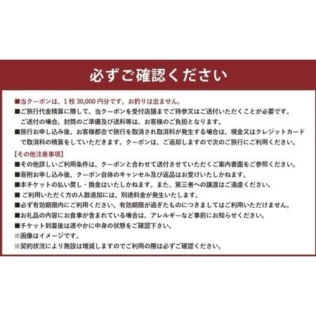 ふるさと納税 山梨県身延町 日本旅行 地域限定旅行クーポン 30,000円分 旅行 観光 ホテル 旅館 宿泊 クーポン 地域限定 山梨県 身延町 山梨県身延町_2