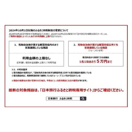 ふるさと納税 山梨県身延町 日本旅行 地域限定旅行クーポン 30,000円分 旅行 観光 ホテル 旅館 宿泊 クーポン 地域限定 山梨県 身延町 山梨県身延町_3