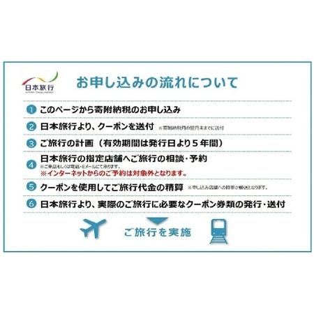 ふるさと納税 山梨県身延町 日本旅行 地域限定旅行クーポン 30,000円分 旅行 観光 ホテル 旅館 宿泊 クーポン 地域限定 山梨県 身延町 山梨県身延町_4