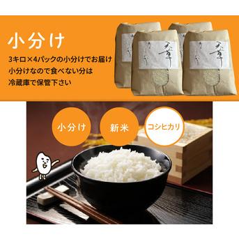 ふるさと納税 S109-004A_〈令和6年産〉熊本県天草産 天草コシヒカリ12kg（3kg×4）【先行予約】 熊本県天草市｜furunavi｜04