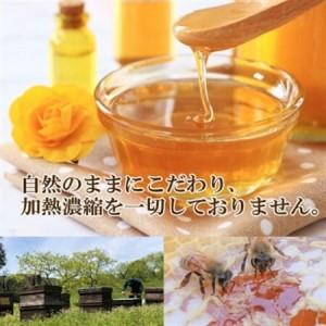 ふるさと納税 【詰め替え用】純粋国産百花蜂蜜700g×2_調味料 はちみつ  ハチミツ 蜂蜜_【1312399】 大分県日出町の画像