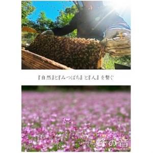 ふるさと納税 【詰め替え用】純粋国産百花蜂蜜700g×2_調味料 はちみつ  ハチミツ 蜂蜜_【1312399】 大分県日出町の画像