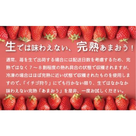 ふるさと納税 冷凍イチゴ2kg（あまおう）※2024年4月以降順次発送予定 VZ001  福岡県宇美町｜furunavi｜02