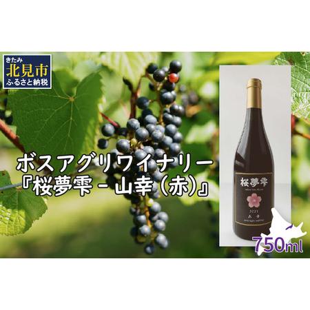 有名なブランド ふるさと納税 北見産ぶどう100 のワイン 桜夢雫 山幸