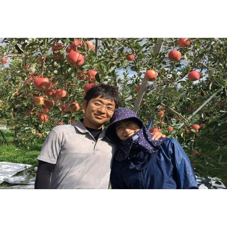 ふるさと納税 【2022年12月中旬発送】 【訳あり】 りんご サンふじ 5kg 青森 青森県五所川原市|furunavi|04
