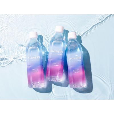 ふるさと納税 EMINERS（エミネラス） 500ml×24本／ミネラルウォーター 温泉水 美容 健康 ペットボトル 奈良県橿原市の画像