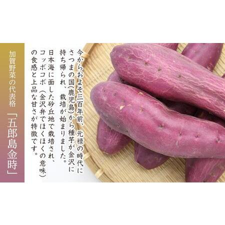 ふるさと納税 JA金沢市 加賀野菜　五郎島金時 秀品・5kg さつまいも サツマイモ 芋 焼芋 焼き芋 さつまいも サツマイモ 芋 焼芋 焼き芋 さつまい.. 石川県金沢市｜furunavi｜02