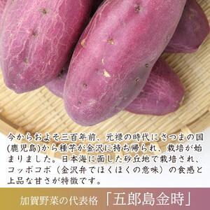 ふるさと納税 さつまいも JA金沢市 加賀野菜 五郎島金時 秀品・5kg さつまいも 石川県金沢市の画像