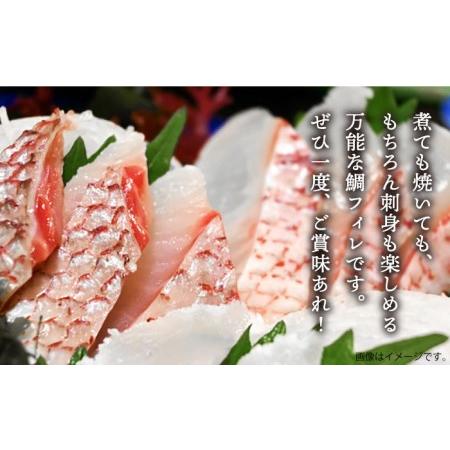 ふるさと納税 【全12回定期便】壱岐産 鯛 フィレ 800gから1.2kg [JDT035] 長崎県壱岐市_2