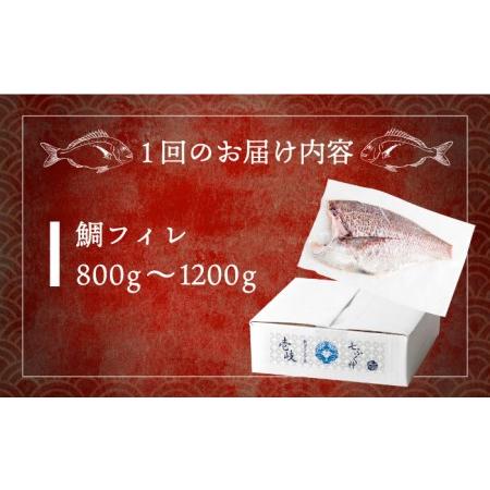 ふるさと納税 【全12回定期便】壱岐産 鯛 フィレ 800gから1.2kg [JDT035] 長崎県壱岐市_3