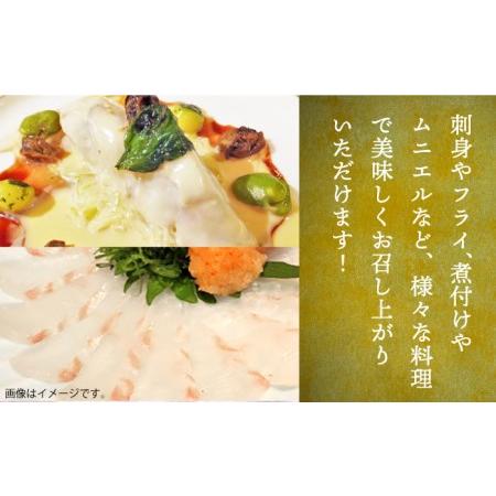 ふるさと納税 【全3回定期便】壱岐産 ヒラメフィレ 450g〜500g [JDT036] 長崎県壱岐市の画像