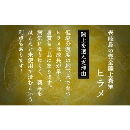 ふるさと納税 【全12回定期便】壱岐産 ヒラメフィレ 450gから500g [JDT038] 長崎県壱岐市_2