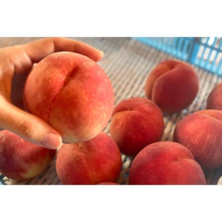 ふるさと納税 【2026年先行予約】新潟県産 桃 約2kg（約6?8個）《7月中旬〜お届け》 新潟県加茂市の画像