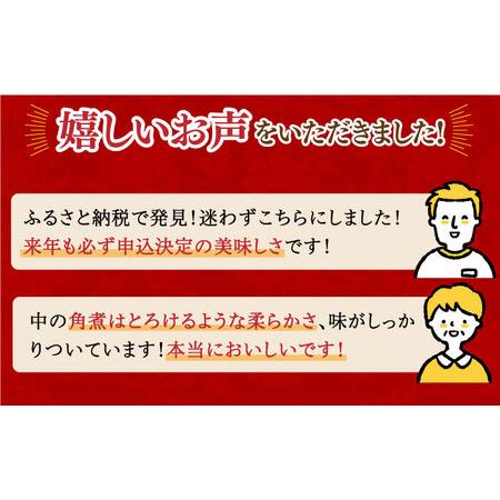 ふるさと納税 7日発送）【化粧箱】大とろ角煮まんじゅう10個[EAB013] 岩崎本舗 角煮 長崎県長与町の画像
