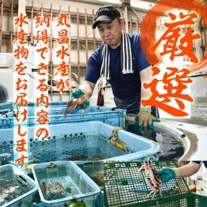 ふるさと納税 養殖 カンパチ (約3-4kg・1本) 直送 産直 漁師 魚 鮮魚 養殖 カンパチ 間八 白身魚 獲れたて 刺身 煮つけ 唐揚げ 塩焼き 冷蔵 豊後.. 大分県佐伯市 養殖 カンパチ 4kg 1本 冷蔵