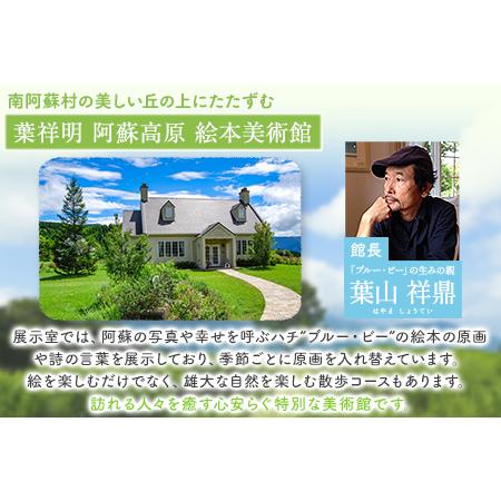 ふるさと納税 葉祥明美術館 えほんセット《30日以内に順次出荷(土日祝除く)》熊本県 南阿蘇村 葉祥明阿蘇高原絵本美術館 葉祥明 葉山祥鼎 ブル.. 熊本県南阿蘇村 土日祝除く