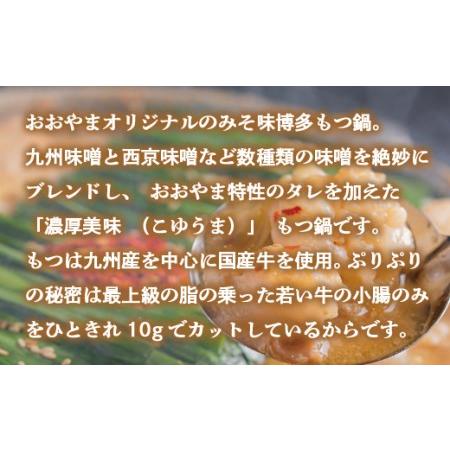 ふるさと納税 もつ鍋 おおやま 定期便 6回 みそ味 2人前 もつ鍋 [um40azo940009] 福岡県宇美町_1