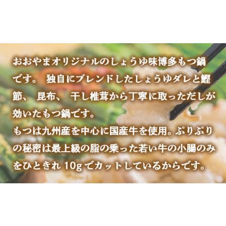 ふるさと納税 もつ鍋 おおやま 定期便 6回 しょうゆ味 2人前 もつ鍋 [um40azo940013] 福岡県宇美町_1