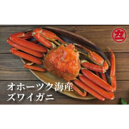 ふるさと納税 10-392 ボイルずわいがに姿Lサイズ(2尾) 北海道紋別市|furunavi|02