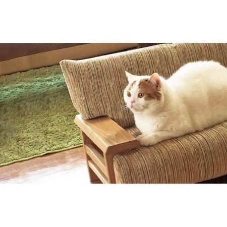 ローボード ふるさと納税 ペットソファ猫の調 北海道小樽市 【Q2215056940】(78000円)