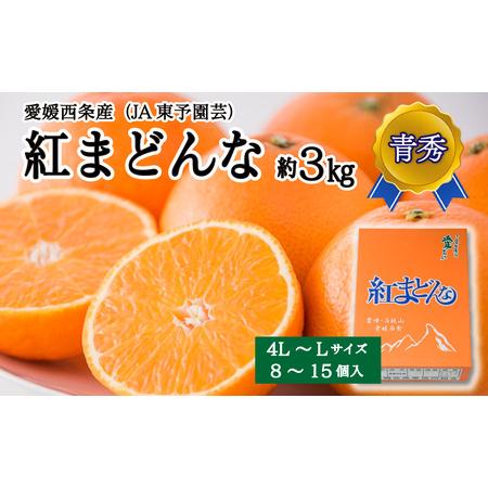 ふるさと納税 [年明け発送] 紅まどんな約3kg(青秀・8〜15個入・4L〜Lサイズ)|柑橘 愛媛 みかん マドンナ[JA東園] 愛媛県西条市