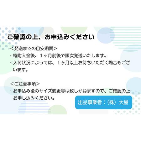 ふるさと納税 メリーズ ずっと肌さらエアスルー 【パンツタイプ】 L