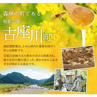 ふるさと納税 希少ハチミツ 南紀熊野蜜 400g（200g×2個） / 古座川流域で採取した日本みつばちのはちみつ 南紀熊野蜜B はちみつ 国産 .. 和歌山県古座川町の画像