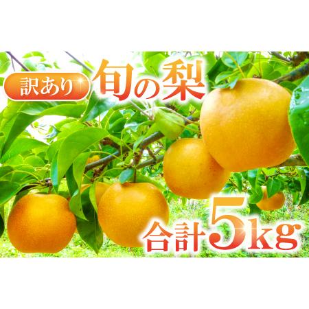 ふるさと納税 A-681 訳あり梨 5kg(規格外・家庭用) 島根県益田市