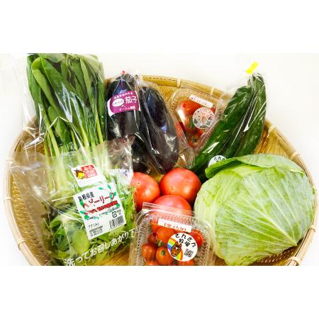 ふるさと納税 A-538 今が旬!新鮮野菜セット(8品目以上) 島根県益田市