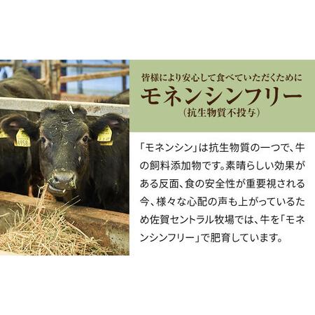 ふるさと納税 【12回定期便】希少部位のサイコロステーキ！350g / ステーキ [IAH147] 佐賀県白石町_4