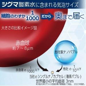 ふるさと納税 【酸素ナノバブル水】　シグマ酸素水　10リットル×1箱【1315005】 茨城県ひたちなか市 