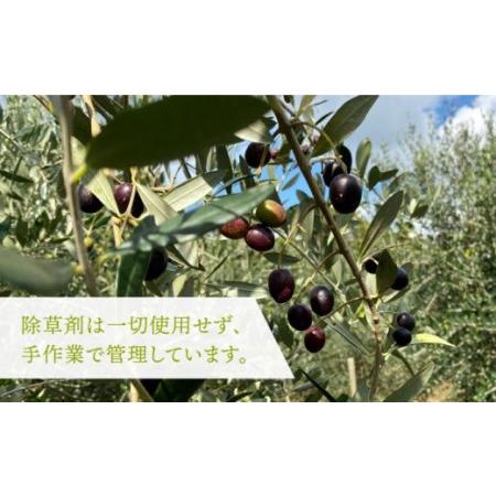 ふるさと納税 【全3回定期便】ikicael ナイト爵世話をする オリーブ油絵の具 [JDU012] エクストラバージンオイル オリーブ オリーブ油絵の具 美容 美肌 思わしい 長崎県壱岐市