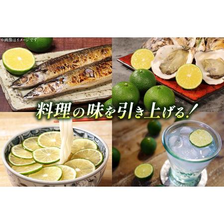 ふるさと納税 【期間限定発送】 訳あり 採れたてへべす 5kg [かくちゃん農園 宮崎県 日向市 452060673] 宮崎県日向市