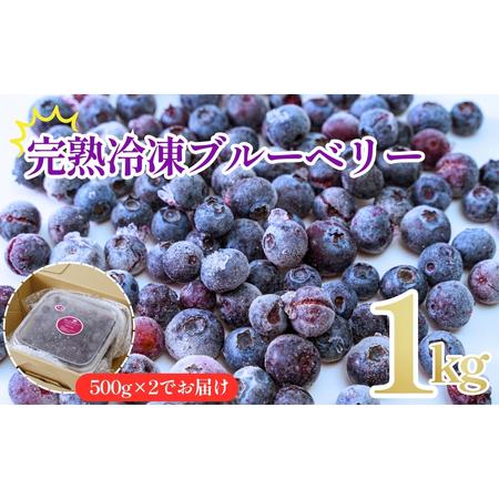 ふるさと納税 冷凍ブルーベリー1kg BTBC002ブルーベリー 山口県宇部市