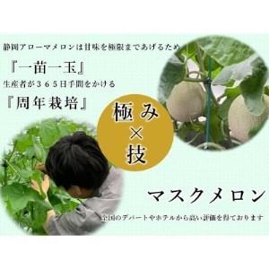ふるさと納税 【訳あり】メロン1玉(食べ頃間近・傷ネットの乱れなど)1.4kg以上【1148459】 静岡県吉田町|furunavi|03