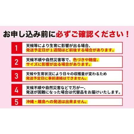 ふるさと納税 No.2155福島のもも　家庭用あかつき　約5kg【2024年発送】 福島県福島市｜furunavi｜03