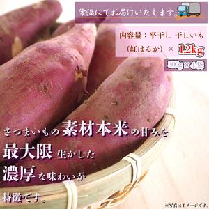 ふるさと納税 【2026年5月下旬より順次発送】【工場直送】なめがたさんちの 干しいも 紅はるか 1.2kg(大袋サイズ：300g×4袋)｜干し芋 ほし.. 茨城県行方市の画像