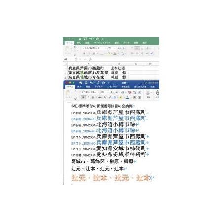 ふるさと納税 【旧字体も新字体も区別なく使用可能に！】JIS90字形Font Ver.2 with JIS2004字形(Mac版 明朝・ゴシック) 高知県高知市 人気・おすすめ｜使いやすい・旅行におすすめ 品質保証 全国発送 正規品・日本国内発送・安心保証付き