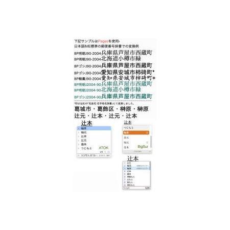 ふるさと納税 【旧字体も新字体も区別なく使用可能に！】JIS90字形Font Ver.2 with JIS2004字形(Mac版 明朝・ゴシック) 高知県高知市 人気・おすすめ｜使いやすい・旅行におすすめ 品質保証 全国発送 正規品・日本国内発送・安心保証付き