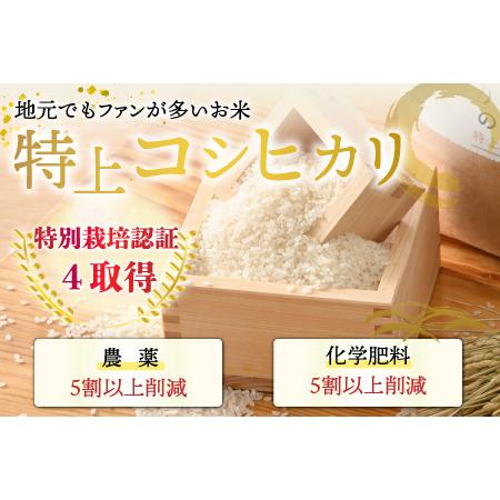 かわいい ふるさと納税 先行予約 Promed Srv Br