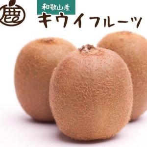 ふるさと納税 ［先行予約］厳選 キウイ2.5kg＋250g（傷み補償分）【扁平果】［IKE107］ 和歌山県上富田町_1