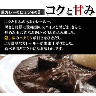 ふるさと納税 牛タン黒カレー（200ｇ×8パック）（カレー レトルトカレー レトルトカレーセット 牛タンカレー 牛タン入りカレー 黒カレー 黒.. 大阪府泉南市｜furunavi｜04