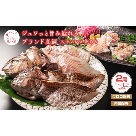 ふるさと納税 (冷蔵)【2尾】ジュワっと旨み溢れるブランド ふるさと納税 (冷蔵)【2尾】ジュワっと旨み溢れるブランド