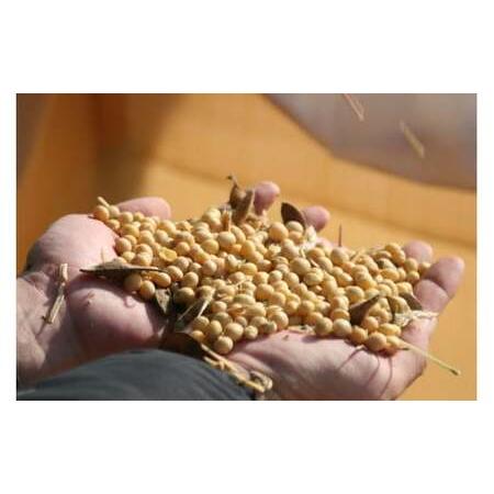 ふるさと納税 こだわり醤油、味噌詰合わせ（有機こい口、丸大豆うす口）[746] 無添加 生みそ 生味噌 天然醸造 長期熟成 オーガニック 有機醤油 .. 兵庫県多可町