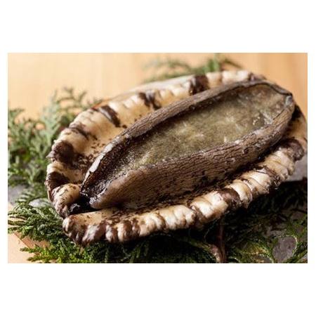 【数量限定アウトレット品】 ふるさと納税 【南青山】ふくい、望洋楼 青山店 特産品ディナーコース 2名様（4月〜10月有効） お店でふるなび美食体験 FN-Gourmet633152 福井県坂井市 【FKP2129853782】(75000円)