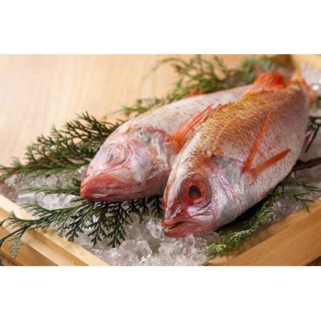 （新品,未開封） ふるさと納税 【南青山】ふくい、望洋楼 青山店 特産品ディナーコース 4名様（4月〜10月有効） お店でふるなび美食体験 FN-Gourmet633163 福井県坂井市 【DGJ3748540340】(132000円)