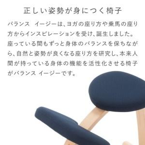 【日本未発売】 ふるさと納税 ラクに姿勢がよくなる 【バランス イージー(カバー付き)／桜・通常フレーム】姿勢矯正椅子＜身長に合わせて無段階調節＞子供から大.. 埼玉県三芳町 【AA1484079795】(52260円)