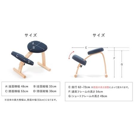 【日本未発売】 ふるさと納税 ラクに姿勢がよくなる 【バランス イージー(カバー付き)／桜・通常フレーム】姿勢矯正椅子＜身長に合わせて無段階調節＞子供から大.. 埼玉県三芳町 【AA1484079795】(52260円)